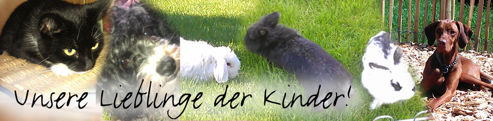 Tiere die Lieblinge der Kinder